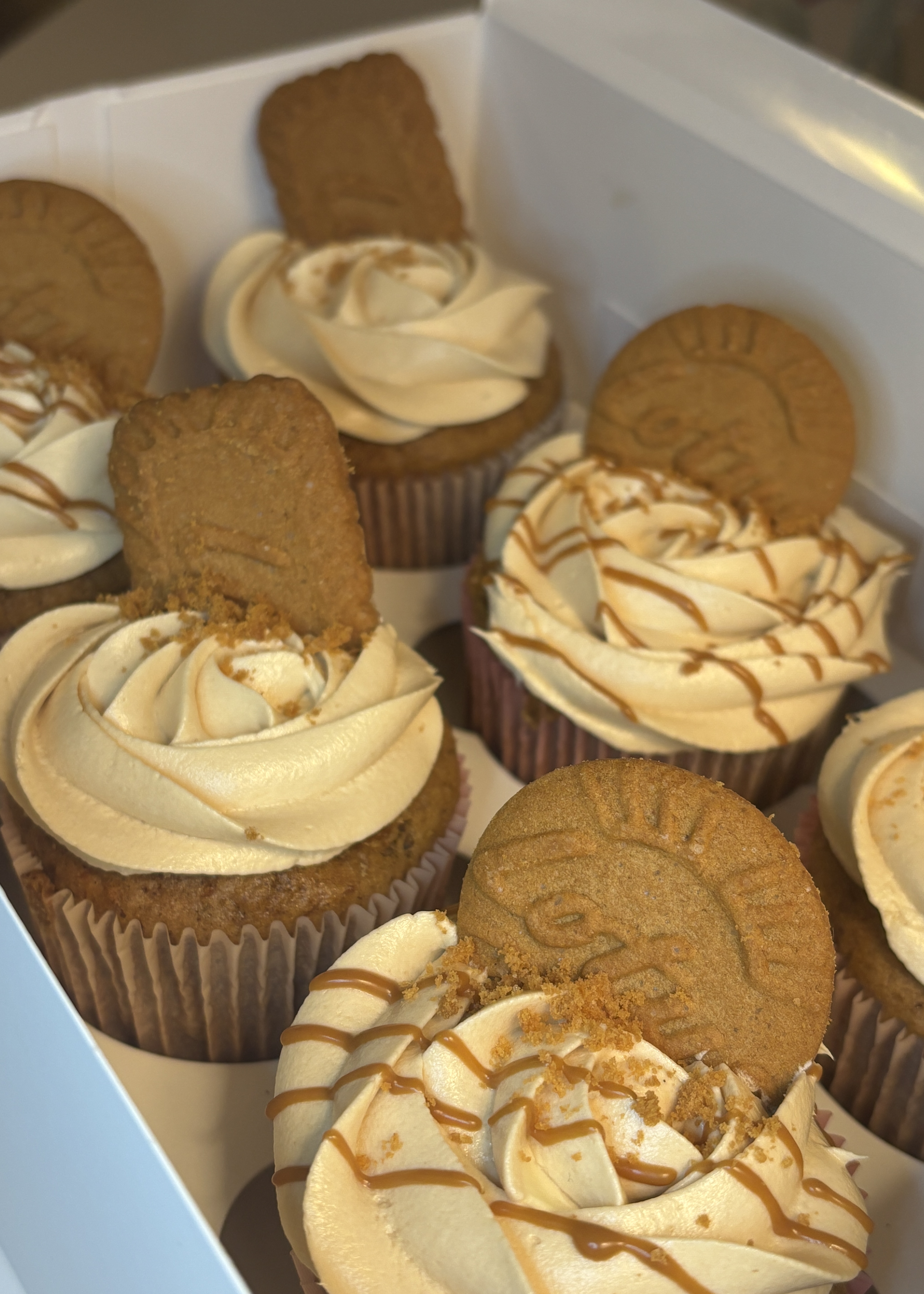 delicious Biscoff cupcakes